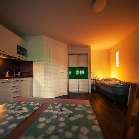 Gottwaldhaus-Freiberg-Apartment / A Zewnętrze zdjęcie